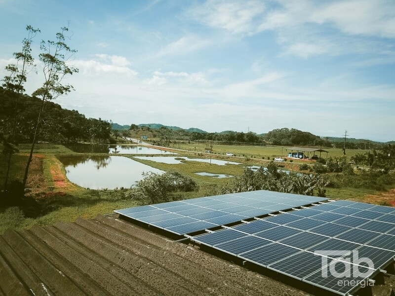 Rizicultura com Energia Solar em Joinville
